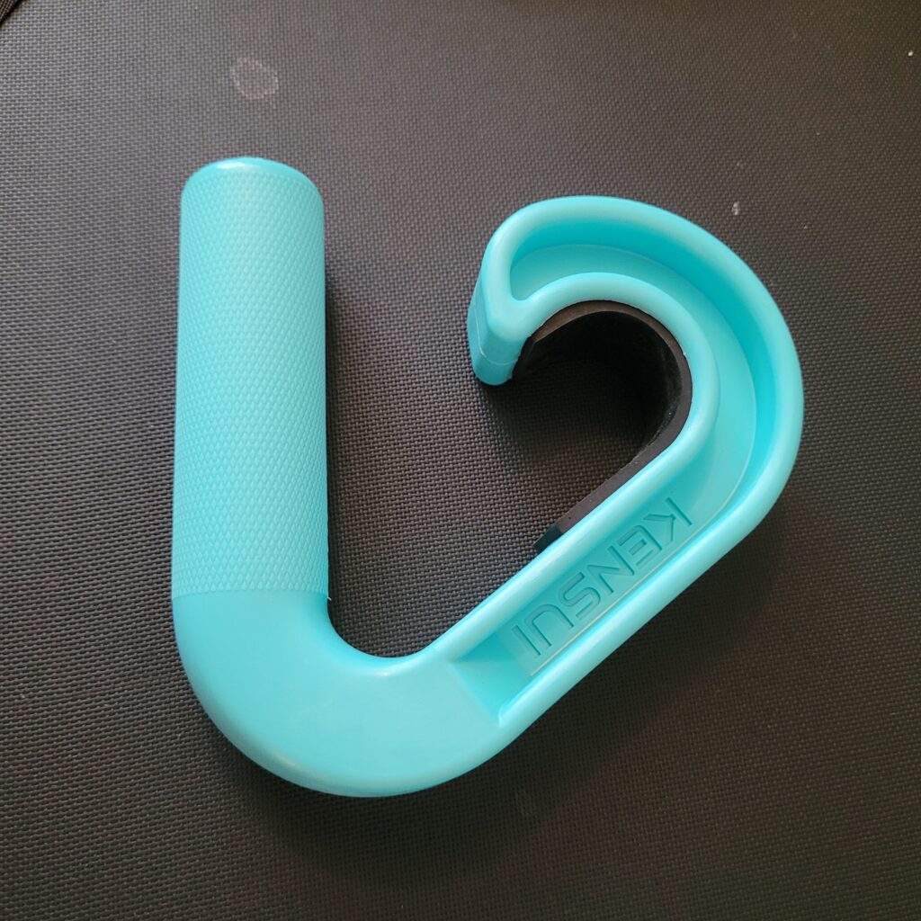 Kensui Swissies in Teal